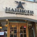 맘모스숯불갈비 이미지