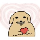 둔촌대로 | 모란역 속눈썹 아이현래쉬 C컬 후기ㅣ할인 쿠폰 정보