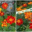천왕봉산장민박 네이버블로그