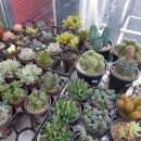 장보고마트 이미지