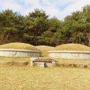 이윤경선생묘 및 신도비 이미지