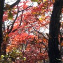 제221차가야산(1,430m)정기산행 이미지