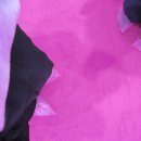 건강제이드약국 | 노는 게 제일 좋을 나이 (분좋카와 시라트, 마인크래프트...)