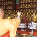 옴천사 아미타불 이미지