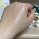 더포레스트스킨 이미지