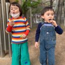 아우스밀 이미지