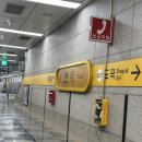 인테리어 가구 소품 보러 더콘란샵 강남 방문 후기