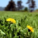 신덕마을 이미지