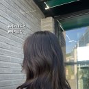 곡성미용실 이미지