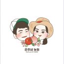 은주네농산물 | [복사자&은주네농원]새콤달콤 자두러버들 주목! 드디어 은주네농원 대석자두 수확 시작합니다!