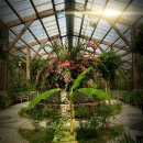 북삼리 | 연천 허브빌리지, 군남댐, 임진강 댑싸리공원, 그리팅 맨, 세라비 한옥카페 여행후기