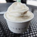 제젤라또 이미지