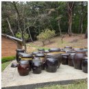 도깨비정원 이미지