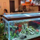 다이카마(월성) 이미지