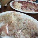 대구 동구 로컬맛집 한국종합수산 가성비 횟집 도심속바닷가