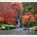 아름다운인연 이미지