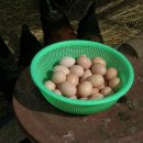 산골의하루 이미지