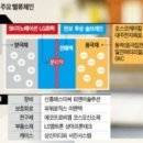 시대SDI