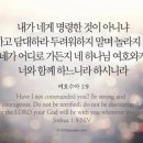 뷰티나다 - 북구 | 뷰티나다