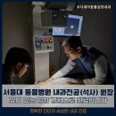 오디세이 동물심장내과 | 동탄동물병원 오디세이동물심장내과 심장 전문 동물병원