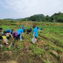 정신농장 이미지