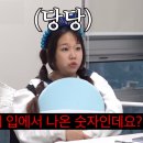 공주한우 네이버블로그