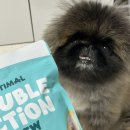 츄치안 | 덴티멀 더블액션 츄 오리지널 강아지껌 체험후기