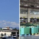 타이어마트 노형점 | 현지인 많은 제주시 대표 농협 하나로 마트 7월 정보 - 추천 장소!!