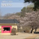 북내면사무소화장실 | 여주 캠핑주막 벚꽃 실시간 캠핑3번사이트 애견동반 가격 이용시설 샤워실 매점 펍 코젤다크맥주