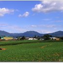 천지배농장 이미지