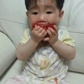 최영자농장 이미지