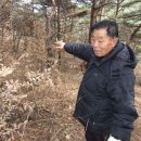 금강산성 이미지