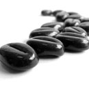 박영철목장 이미지