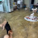 콩이네하우스 이미지