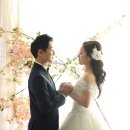 구로-구로-구로-2036 이미지