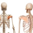 전방마을 이미지