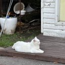 세븐일레븐 홍천오션점 이미지