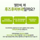 이피부과 - 노원구 한글비석로 474 | 이피부과