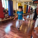 불독복싱 이미지