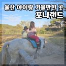 포니랜드 | 부산근교 아이랑 가볼만한 곳 울산 포니랜드 승마체험 동물체험후기