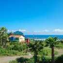 오렌지빌 이미지