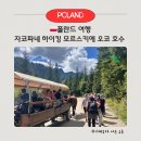 [초등학생 포함 가족] 우리모두 수(水)퍼히어로 | 폴란드여행 자코파네 하이킹 모르스키에 오코호수 가는 방법