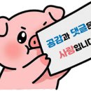 수안세차장