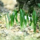 마중가는길 이미지