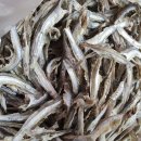 영희네 산지직송 | 가이리고바 서해안 멸치 산지직송