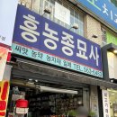 흥농농약종묘사 | [주말농장] 2026 흥농종묘사 모종 가격 정보&amp;구리전통시장 달인 꽈배기