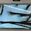 씨유 인천산곡중앙점 | 부평두피관리 큐사랑 산곡중앙점 남자 두피케어 클리닉