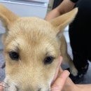 신흥로190 이미지