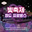 청도림