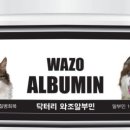 닥터리동물병원 이미지